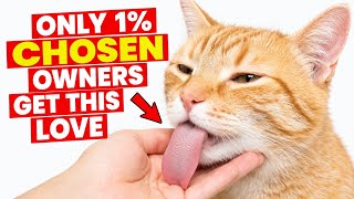 21 Rare Behaviors Cat's Show ONLY When They love you Fiercely