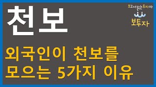 천보 주가 전망 투자 전략ㅣ천보 투자아이디어ㅣF전해질ㅣ전해액ㅣ보투자