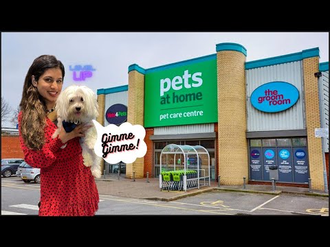 Visting The Biggest Best Pet Shop In London - Pets At Home Camden