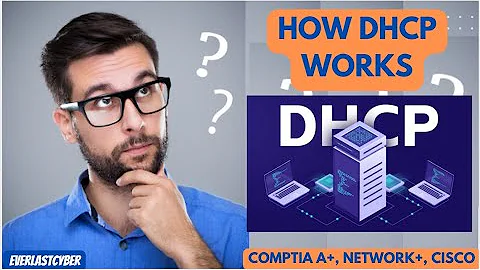 How DHCP Works  | Networking Basics | Cisco CCNA