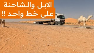 معاناة الطريق لشديد البدو