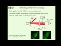 Dan Oron: Patterned Multiphoton Photoactivation in Scattering Tissue by Temporal Focusing