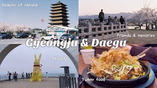 Spring in Gyeongju and Daegu, Nature, Bingsu, Hiking & Things to Do✨ | Life in Korea