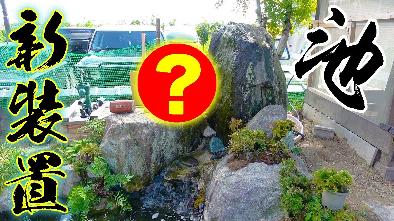 やっぱり池にはこれがないと始まらない！！