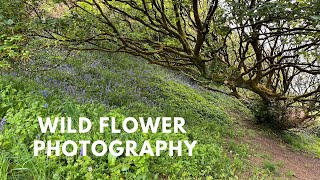 WILD FLOWER PHOTOGRAPHY/ BLUEBELLS ARE AMAZING/ MY FIRST VLOG