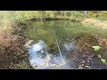 Tiny Creek Bass Fishing! (Big Fish in Small Creek)