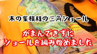 セーターを編んでいる途中ですが我慢できずにショールを編み始めました【編み物】【手編み】【三角ショール】【】