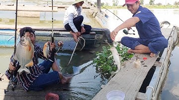 Câu cá ổ | 2 cần thủ so tài câu cá trên bè không ngờ trúng ổ cá chim giật mỏi tay