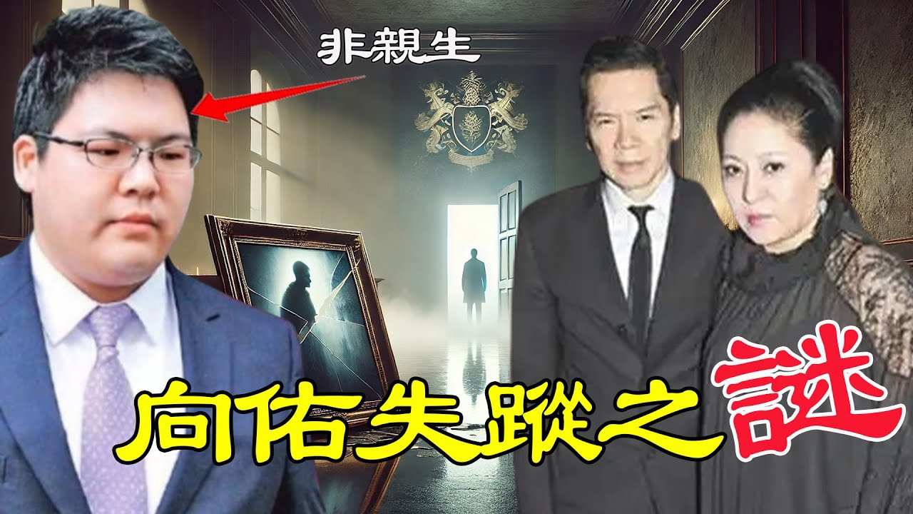 2017年，向華強親手將兒子向佑送入監獄，一夜之間銷聲匿跡，從此向家所有人對佢閉口不談！揭秘向佑消失背後嘅秘密！【港星秘檔】 - YouTube