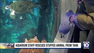 Child reunited with stuffed animal that fell into water at aquarium