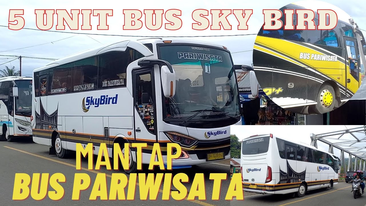 Jaya Langit: Menjelajah Nusantara dengan Kenyamanan dan Keamanan