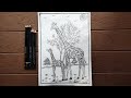 How to make a sketch of giraffe and its babyll suhanis art gallery ll