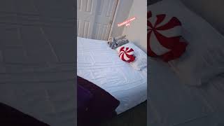 clean with me #preppy #everydayischristmas #christmas