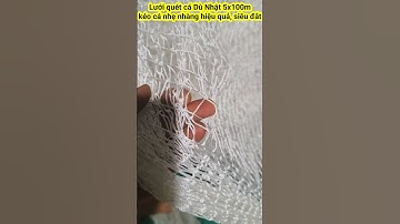 Ngư dân sẵn sàng với lưới kéo cá, lưới vét cá, lưới quét dù Nhật, bền, kéo nhẹ, siêu đắt     #shorts