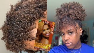 Dying my NATURAL HAIR for the FIRST TIME | Black to Honey Brown