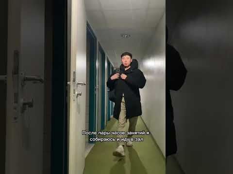 День из жизни