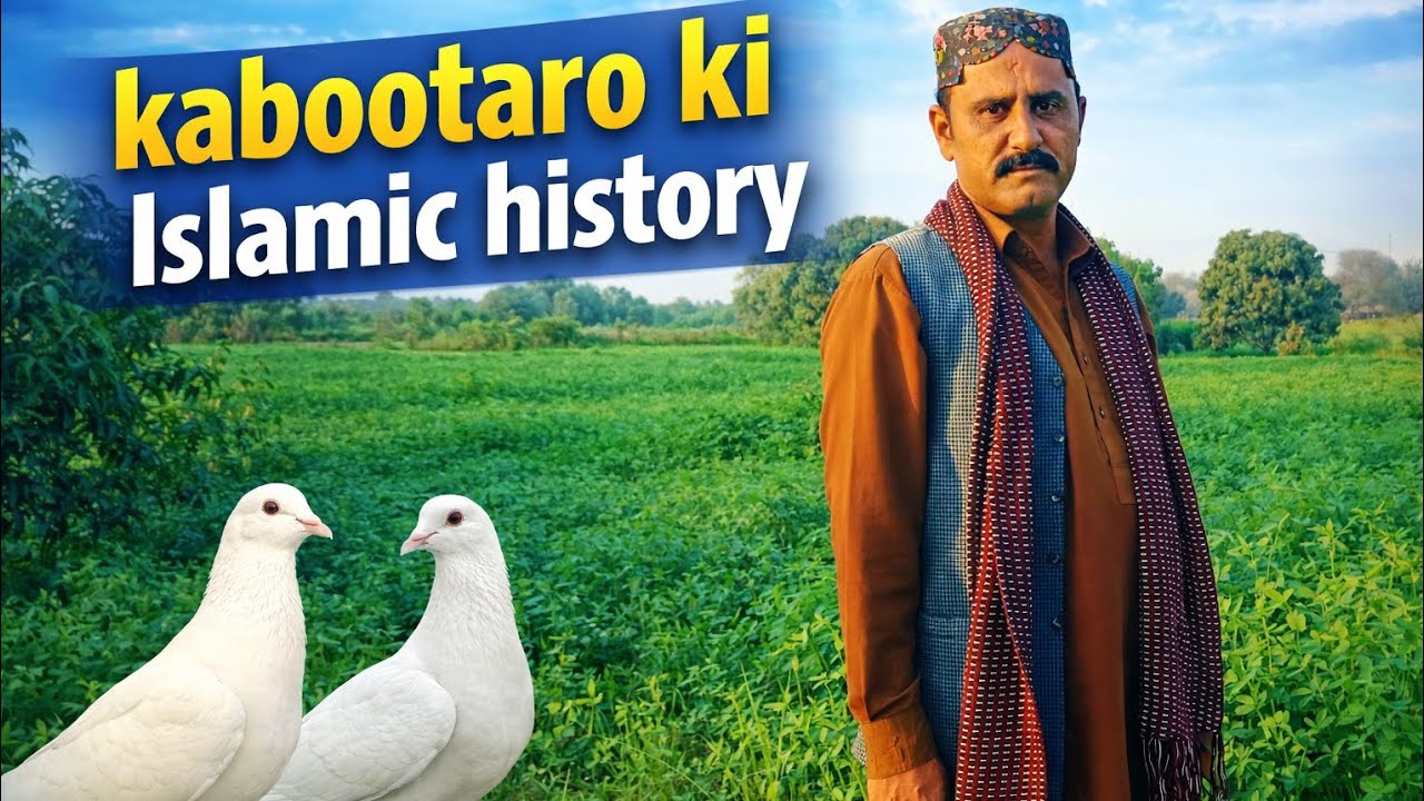 Kabootaro Ki Islamic History | Islam Mein Kabootar Ka Waqia |