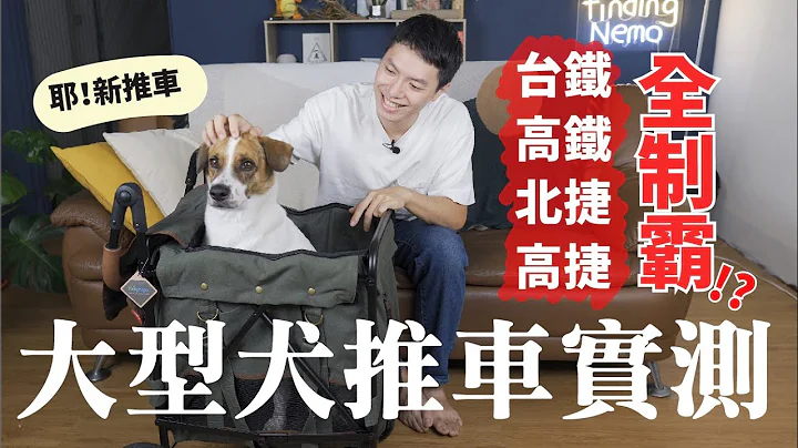 大型犬寵物推車開箱實測🛒高鐵台鐵捷運通通沒問題👌 (feat.ibiyaya大米號寵物推車)【尼來開箱📦 EP2】 - 天天要聞