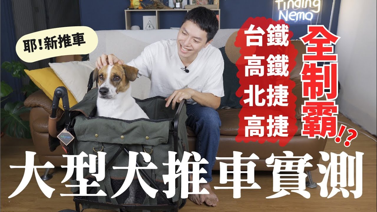 大型犬寵物推車開箱實測 高鐵台鐵捷運通通沒問題 Feat Ibiyaya大米號寵物推車 尼來開箱 Ep2 Youtube