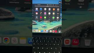 How To Show Package Content On macOS