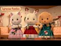 The Best Outfits 👗Mini Stories Compilation | Sylvanian Families