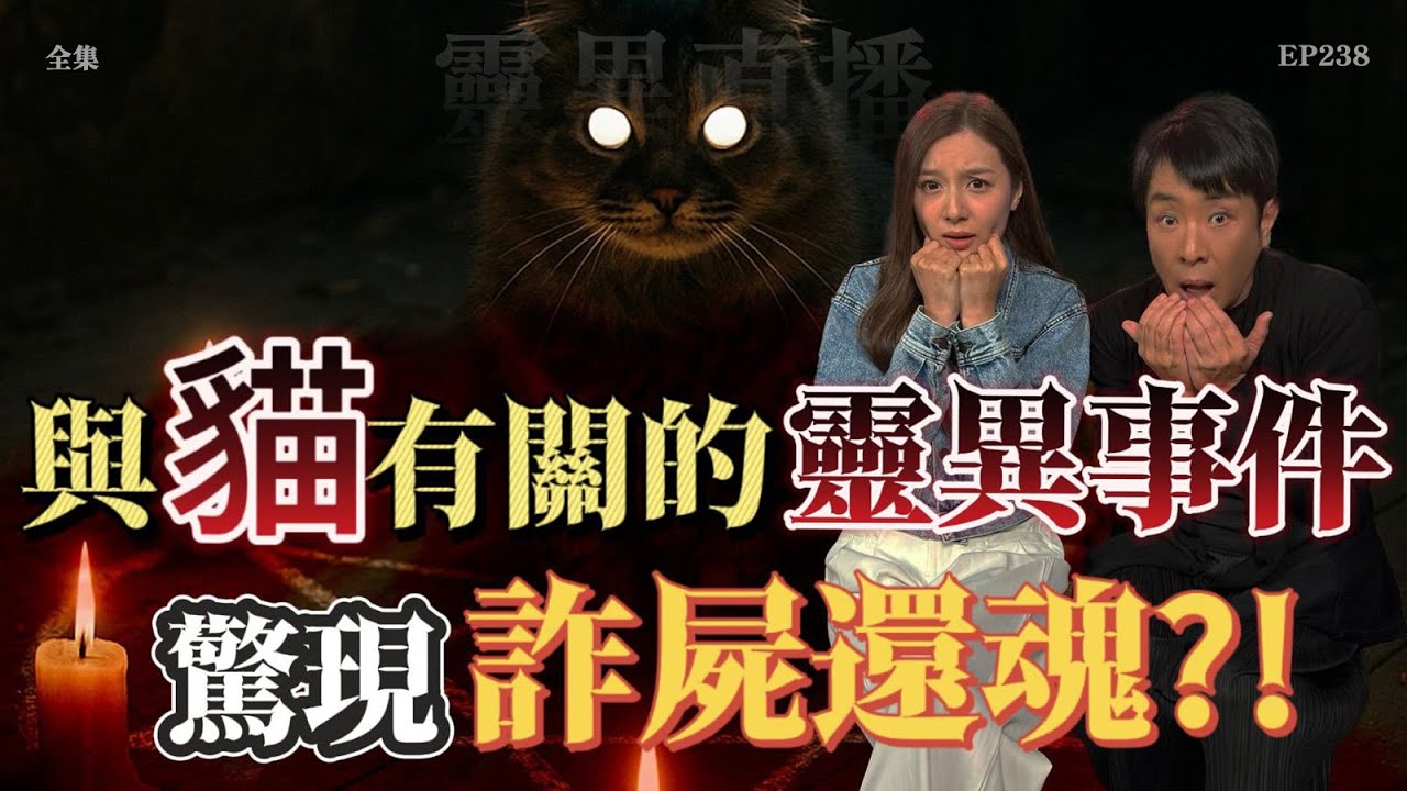 靈異直播#238 | 與貓有關的靈異事件，驚現詐屍還魂？｜恐怖2.0｜真實靈異故事｜十點開播!｜梁思浩｜羅千揉｜世界鬼故事｜通靈之王｜超能力學院