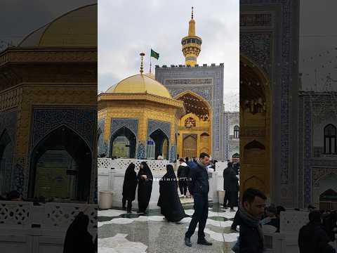 پناه هر چه دل مبتلا امام رضا  