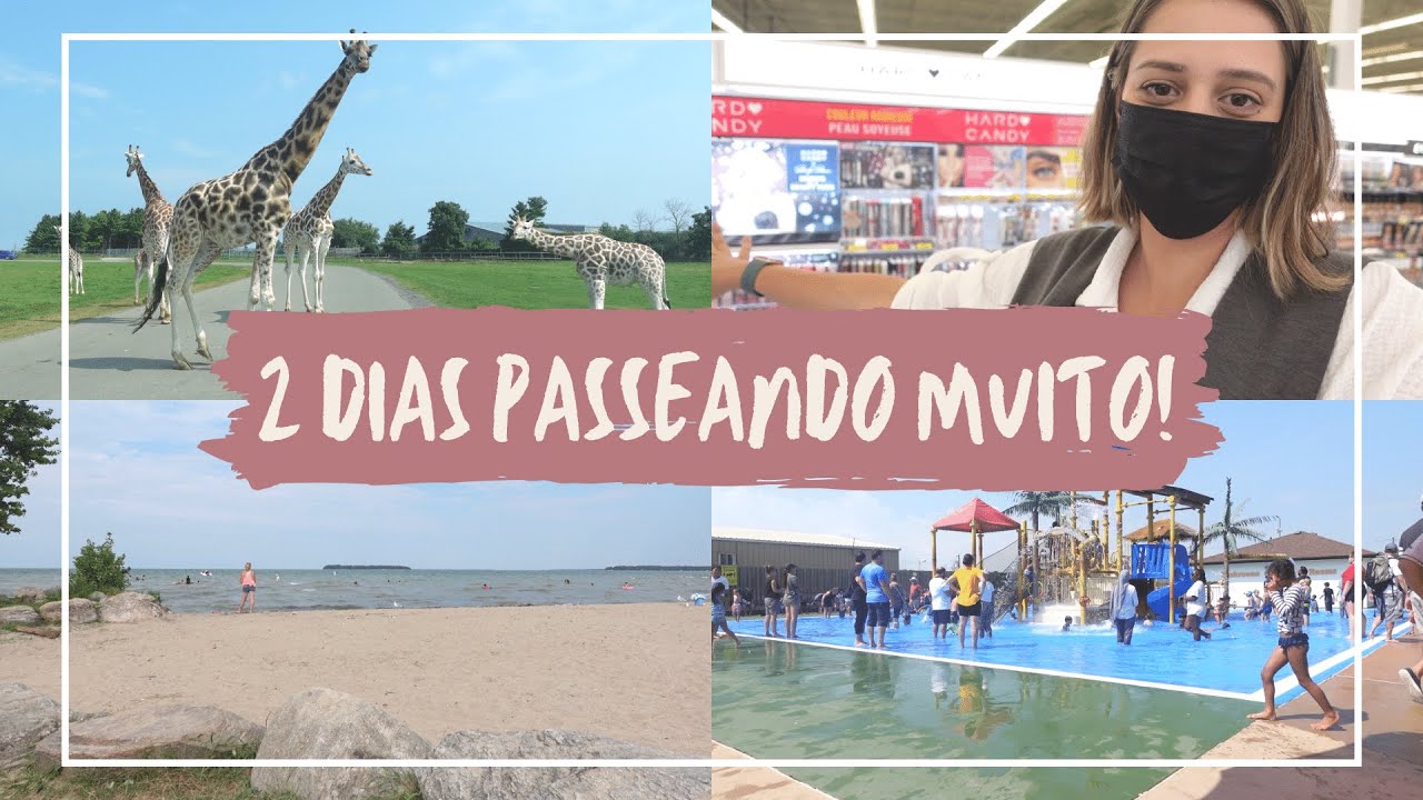 ✨Nossas compras no Walmart do Canadá & FOMOS CONHECER UM SAFARI!!