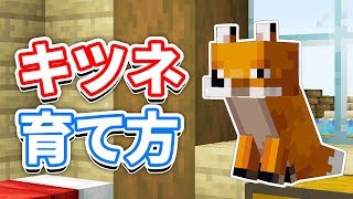 【マイクラ1.14】キツネ(Fox)生態・繁殖方法・スポーン条件・捕獲方法を詳しく解説！【マインクラフト】Snapshot 19w09a