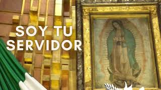 Video thumbnail of "Soy tu servidor"