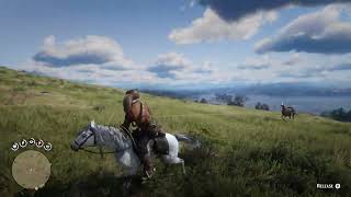 Red Dead Redemption 2 | American Standardbred Kills its owner