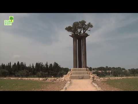 וִידֵאוֹ: מה שגיבורי סיפוריו של פושקין הם אנדרטאות