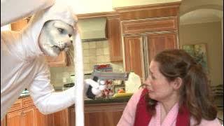 Silly Kids, Trix are for Rabbits!