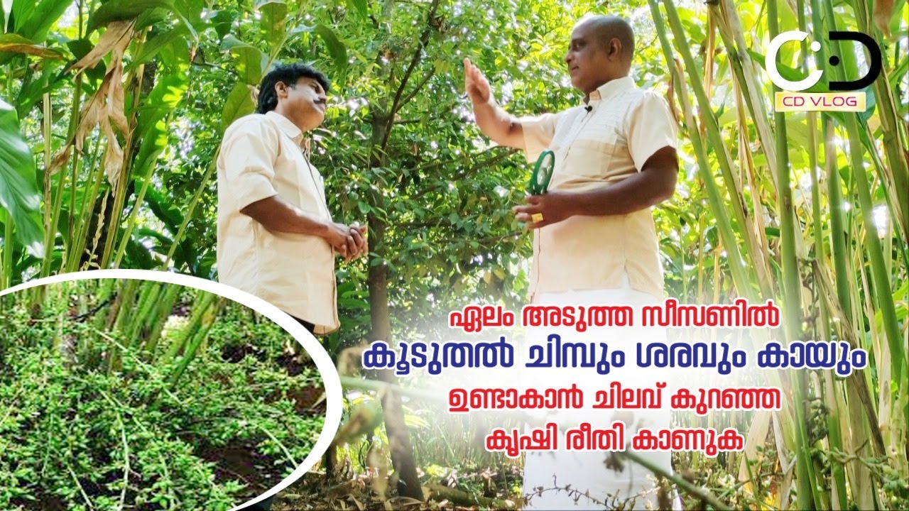 ചിലവ് കുറഞ്ഞ കൃഷി രീതികൾ  ശാസ്ത്രീയമായി പരിചയപ്പെടുത്തി വിശദീകരിക്കുന്നു 