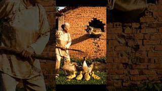 python eats duck! granny saves! what should you do? tell me! 😨 🤔 👵🐍🐥 #animals #shorts #wildlife