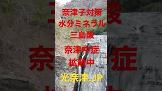 世界父光奈津子に大注目