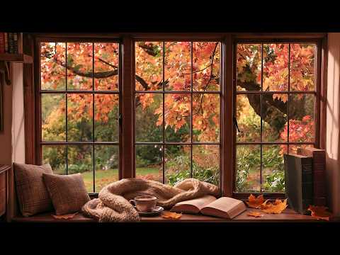fresh autumn morning  a quiet playlist for a calm morning in a sunlit cottage #1