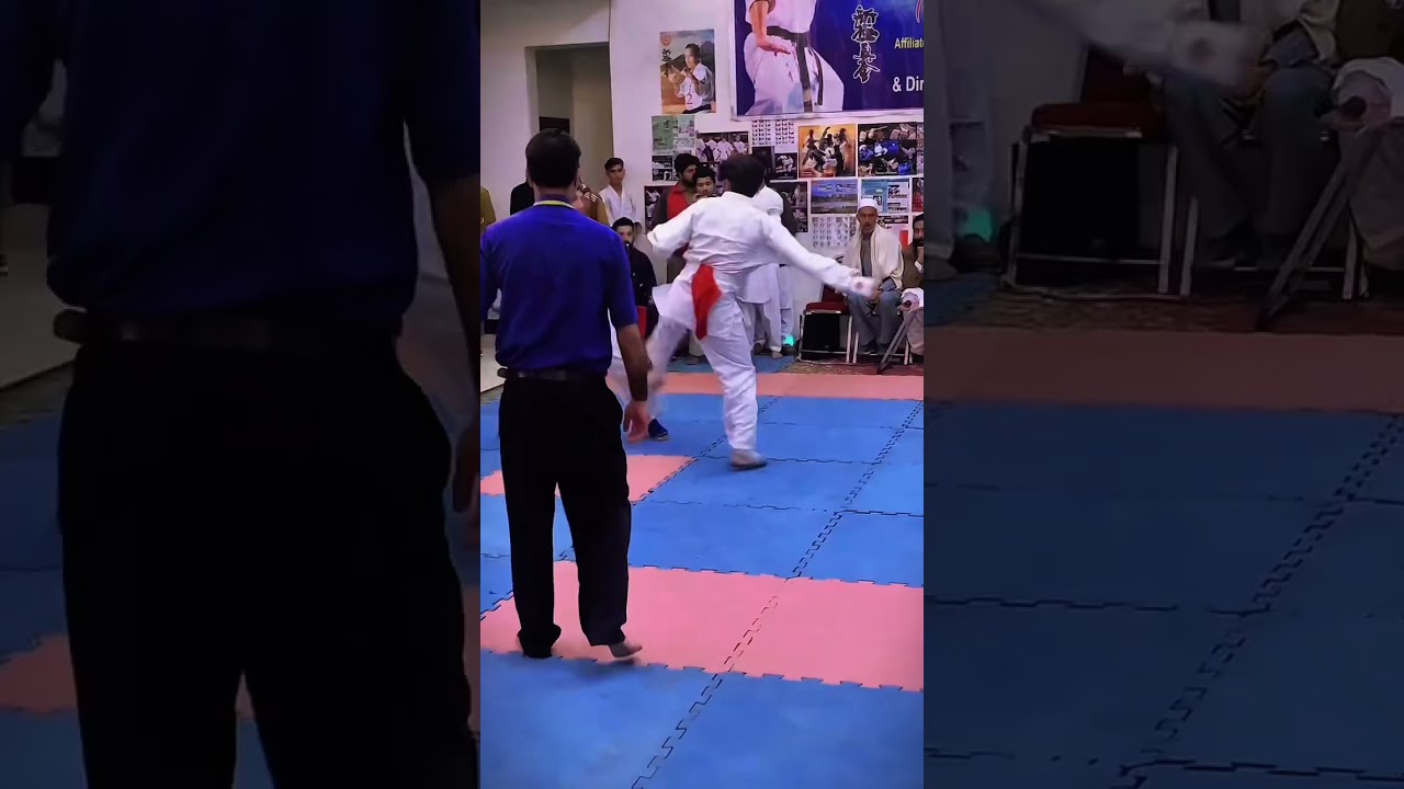 "Epic Music Karate Moves! 🥋🎶 | 01mrhero 