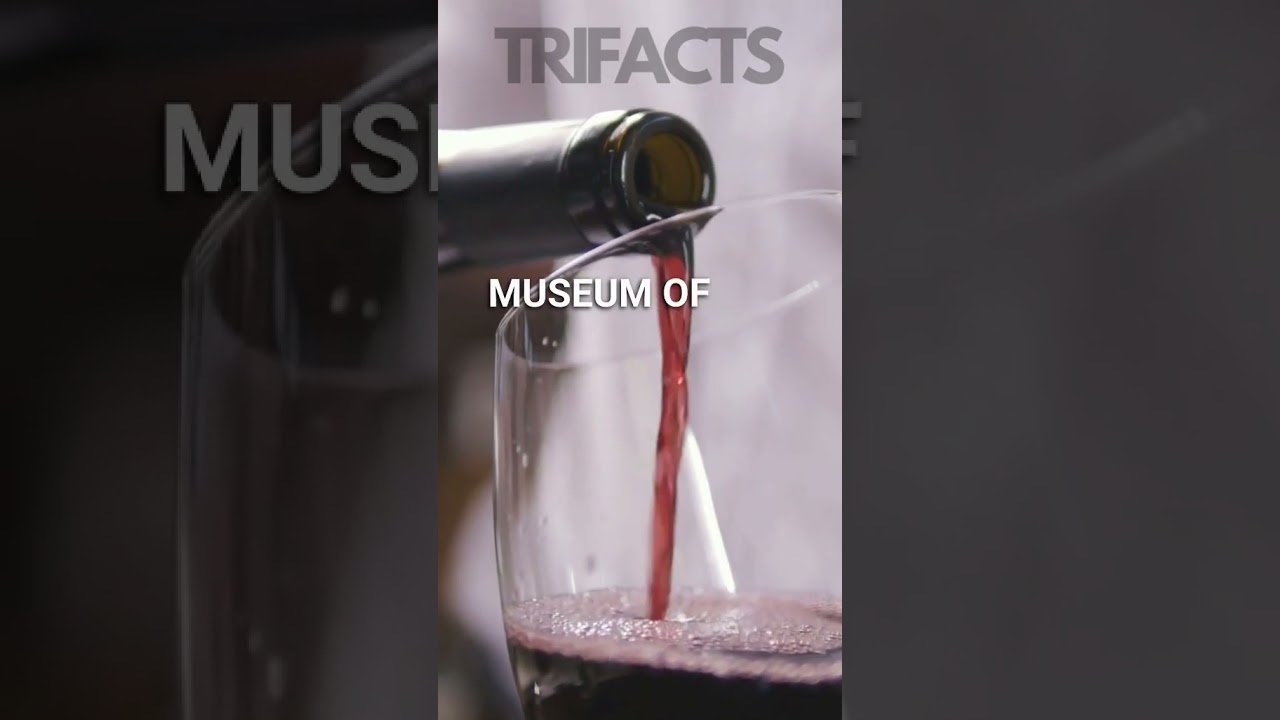 3 Random Facts! -👗 Fast Fashion, 🍷 1,650-Yr-Old Wine, 🌊 Blue Ocean Biz 📈