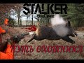 Stalker Online[Stay Out]Можно ли заработать на молодых кабанах и как убить медведя с ТОЗа.