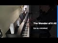 The Wonder of It All