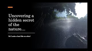 Uncovering a hidden secret of the nature | Mountains in Sri Lanka