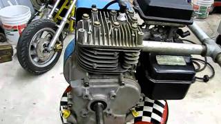 Briggs 5hp Performance Motor close up