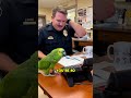 PARROT Roasts 40-Year-Old Cop for Getting "Mom Check-in"! 🦜😂