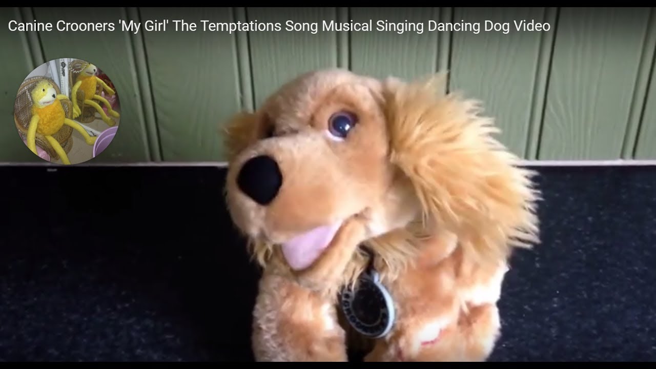 Cuddly Crooners Musical Rudy Singing Dancing Dog Plush Tutti Futti 