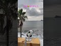 ヤッシーを心配してくださる皆様へ(2022年台風14号通過後)