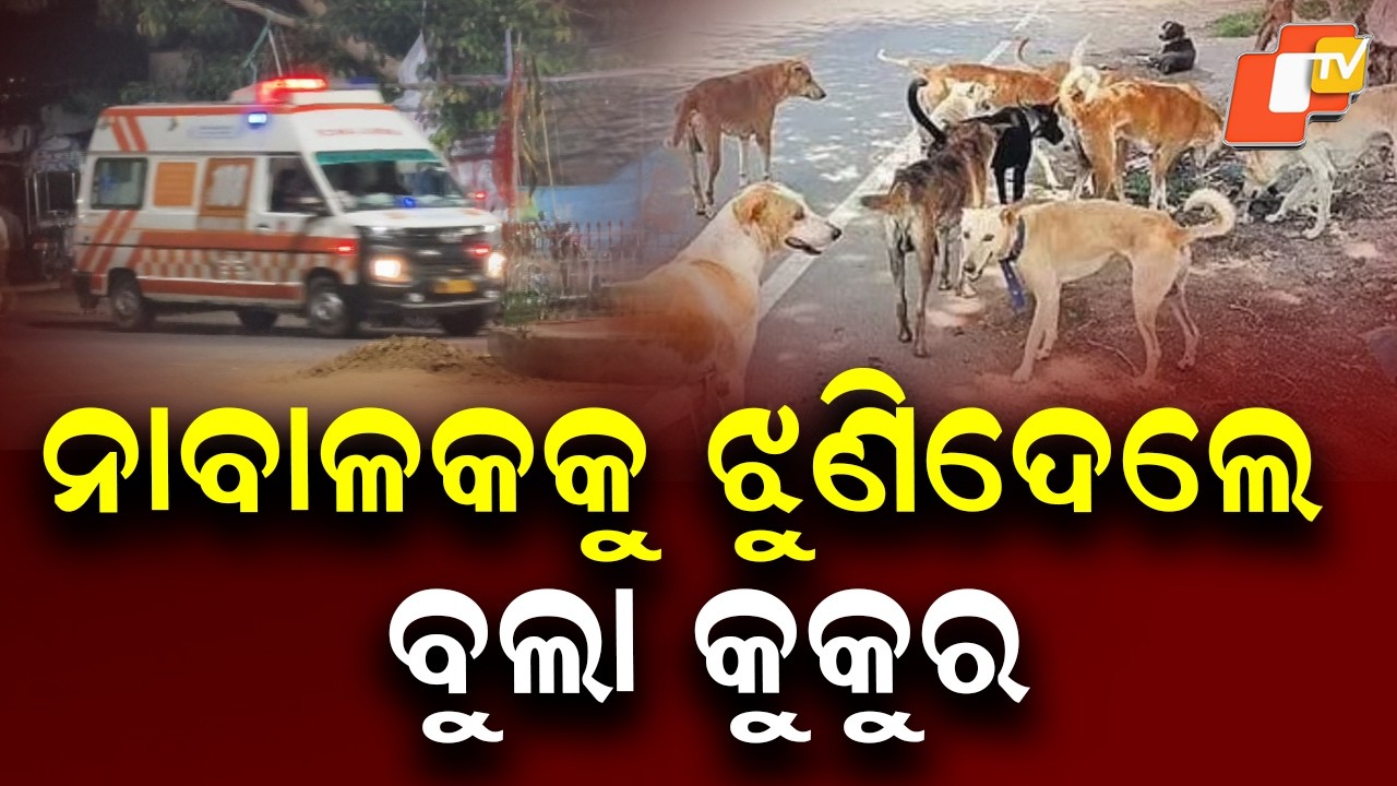 Stray Dog Attack Leaves 9-Year-Old Boy Critical In Ganjam - YouTube