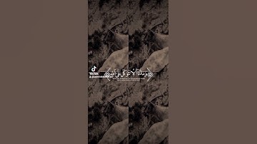 ماتيسر من سورة إبراهيم بصوت القارئ الشيخ محمد رعد الكردي #القران_نور #تفاعل #عيدكم_مبارك