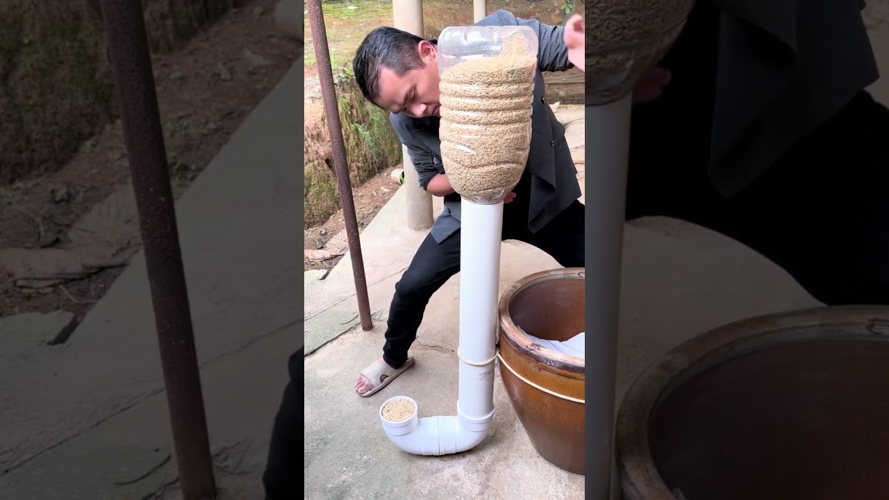 Unique and creative chicken feeding place using pipes 