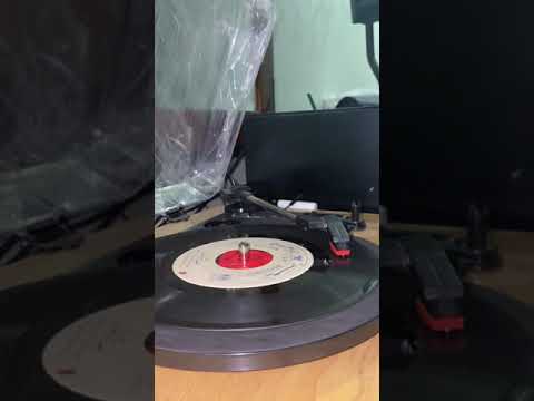 عذراء هيام يونس الوجه الثاني 